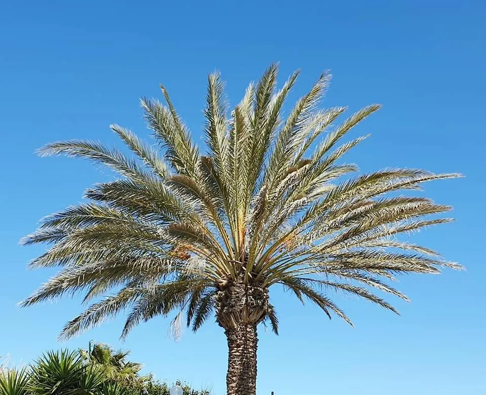 Il Canneto Di Selinunte Marinella di Selinunte Apartment