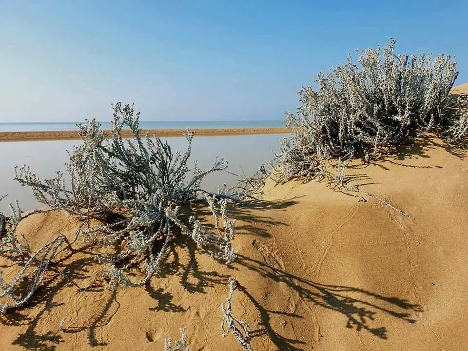 Il Canneto Di Selinunte Marinella di Selinunte Apartment