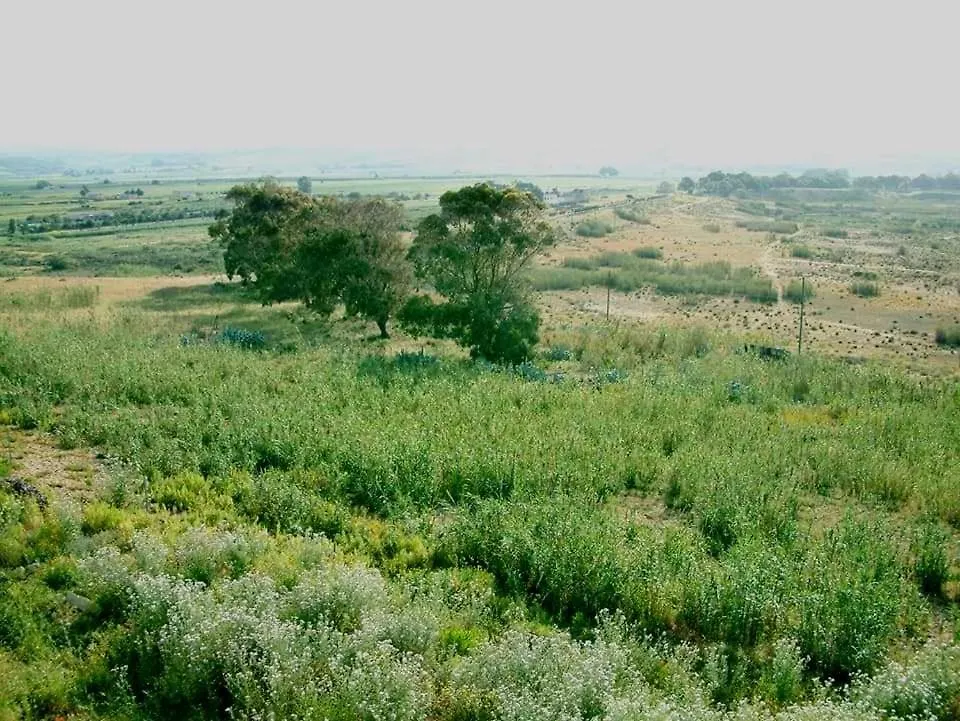Il Canneto Di Selinunte Marinella di Selinunte 0*,  Italy